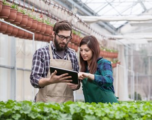 Two owners of a plant nursery have a meeting in the greenhouse